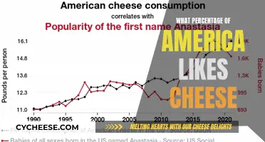 Cheese Appreciation in America: How Many Love It?