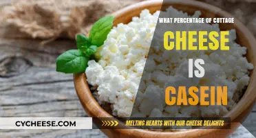 Cottage Cheese Casein Content: Uncovering the Percentage Breakdown