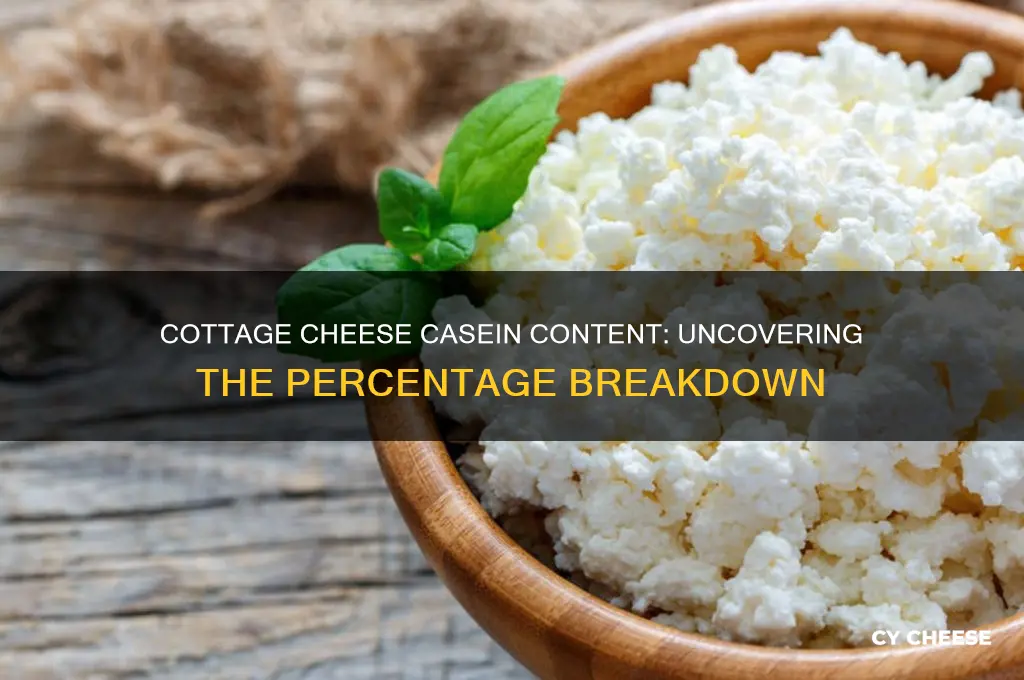 what percentage of cottage cheese is casein