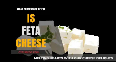 Feta Cheese: How Much Fat Does It Contain?