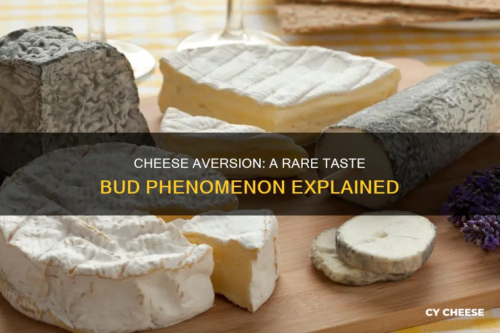 what percentage of people don