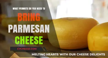 Guide to Permits: Importing Parmesan Cheese