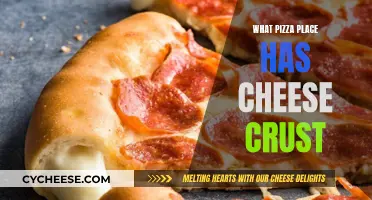 Cheese Crust Delight: The Ultimate Pizza Place Adventure