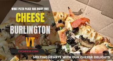 Dairy-Free Pizza Paradise: Finding the Best Vegan Cheese in Burlington, VT