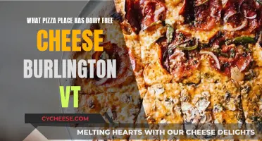Best Dairy-Free Pizza Places in Burlington, Vermont