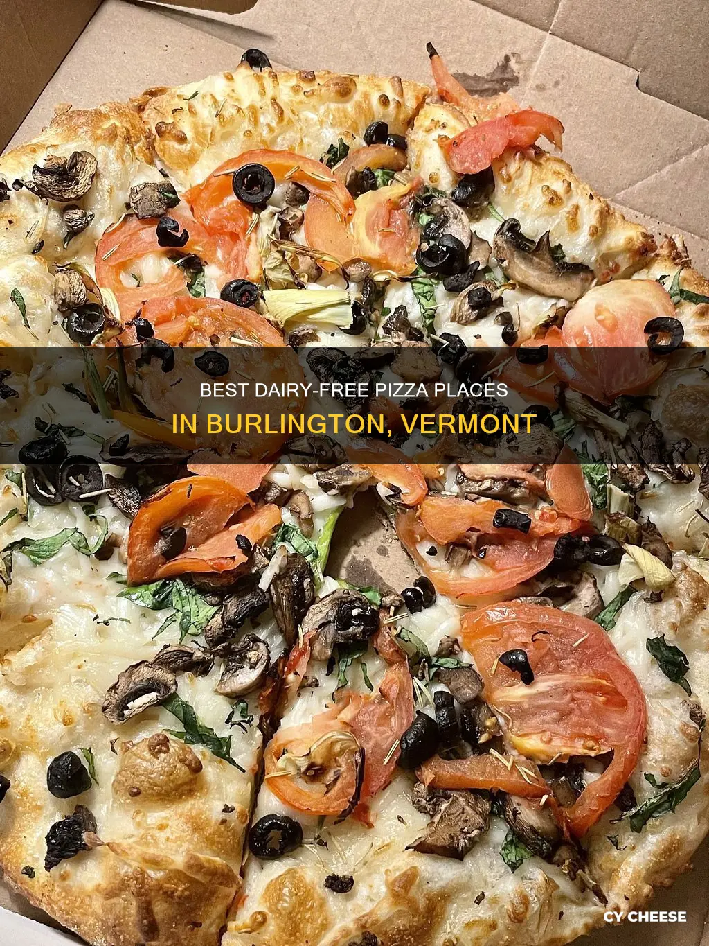 what pizza place has dairy free cheese burlington vt