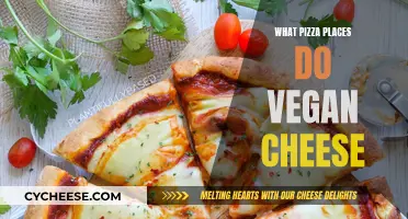 Vegan Cheese on Pizza: Top Spots to Satisfy Your Plant-Based Cravings