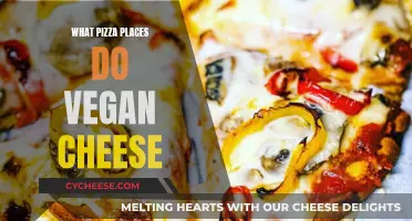 Vegan-Friendly Pizza Joints: Where to Find Dairy-Free Deliciousness