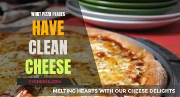 Clean Cheese: Where to Find the Best Pizza Places