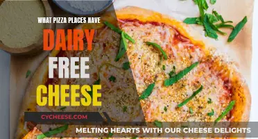 Dairy-Free Delights: Pizza Places With Vegan Cheese Options