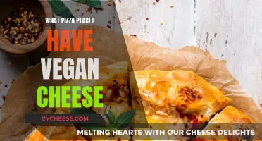 Vegan Cheese on Pizza: A Guide to the Best Vegan-Friendly Pizzerias