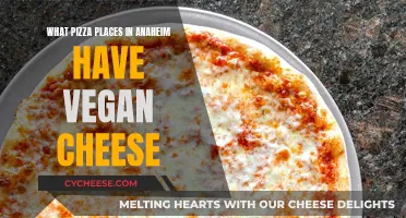 Anaheim's Vegan Pizza Paradise: Top Spots with Plant-Based Cheese