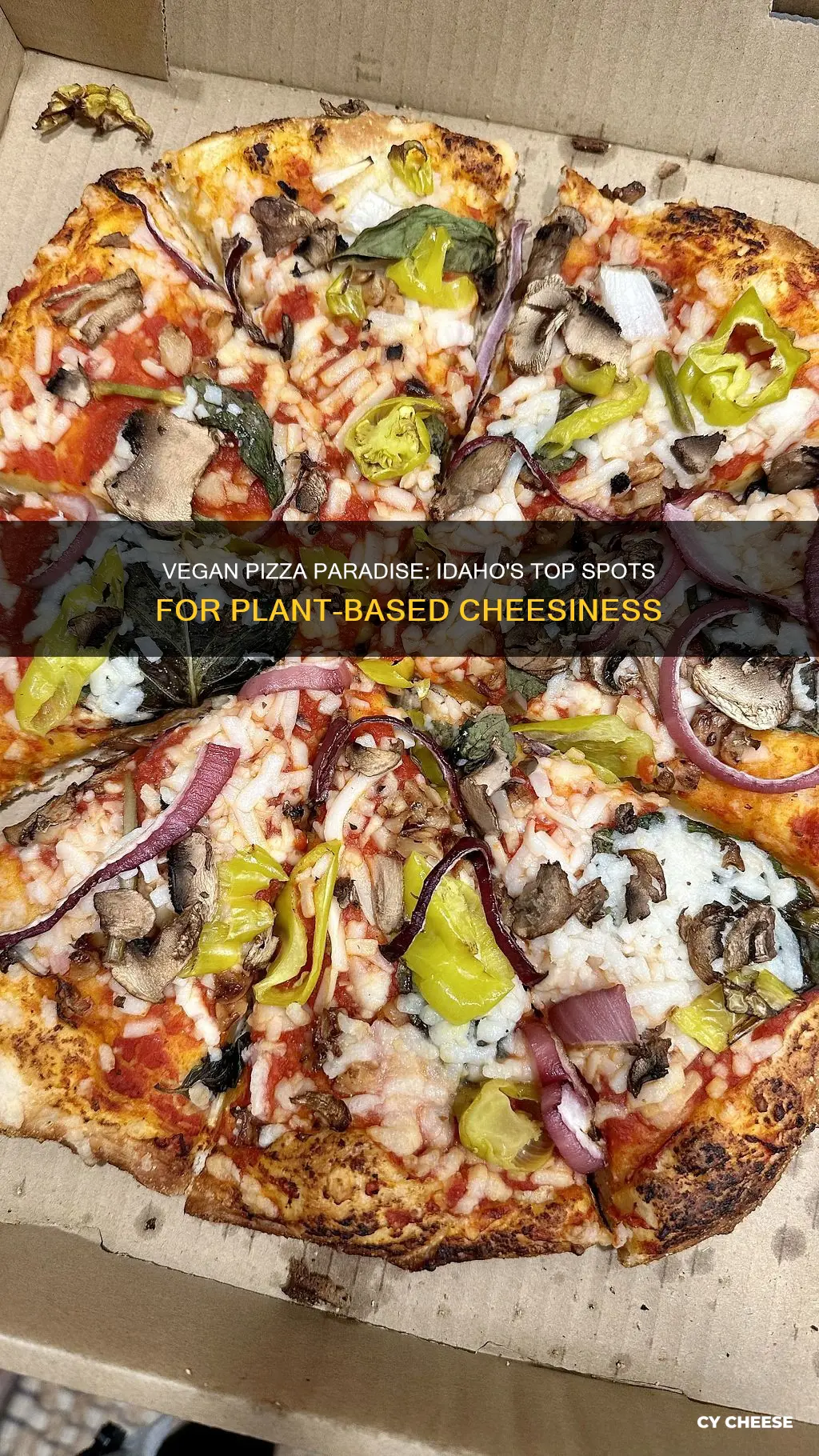 what pizza restaurants have vegan cheese in idaho