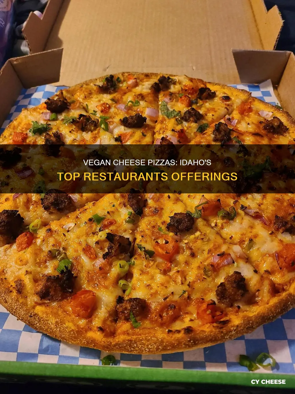 what pizza restaurants have vegan cheese in idaho