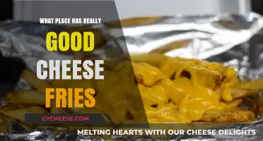 Discover the Ultimate Spot for Irresistible, Cheesy Fry Perfection
