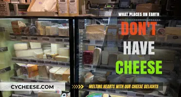 Exploring Cheese-Free Zones: Surprising Places Without This Dairy Staple