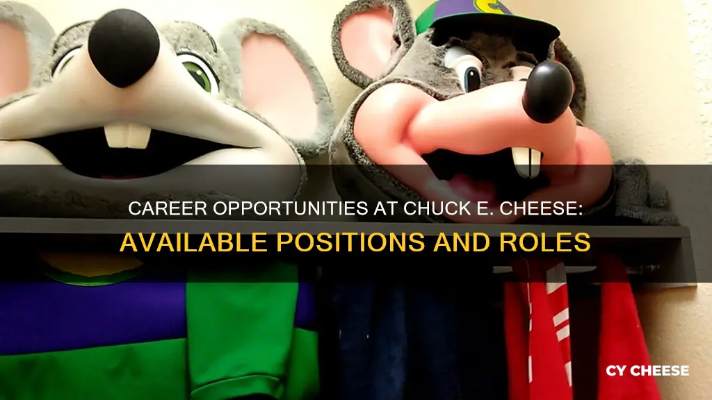 what positions do chuck e cheese have