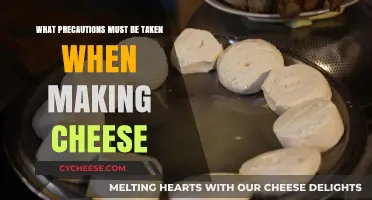 Essential Safety Precautions for Homemade Cheese Making: A Guide