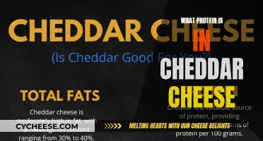 Unveiling Cheddar's Secret: The Protein Powerhouse