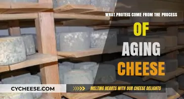 Aging Cheese: Unveiling the Proteins Behind Its Unique Flavor and Texture