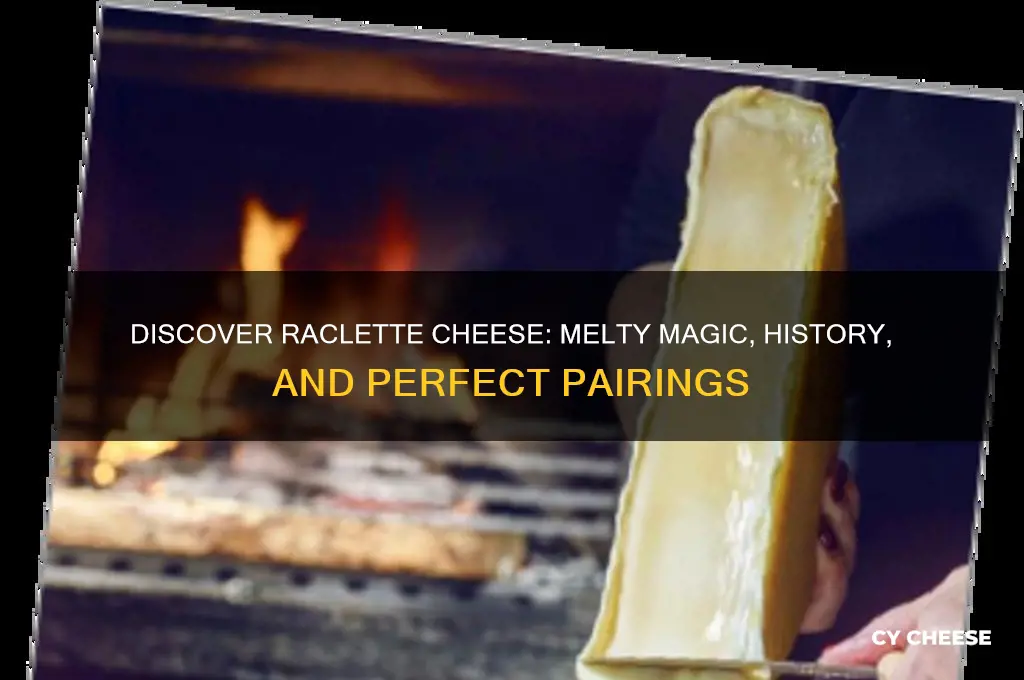 what raclette cheese