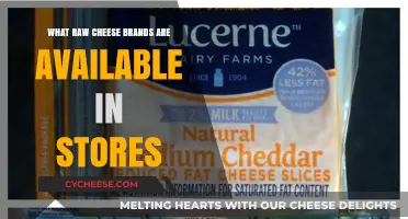 Discover Top Raw Cheese Brands Available in Stores Today