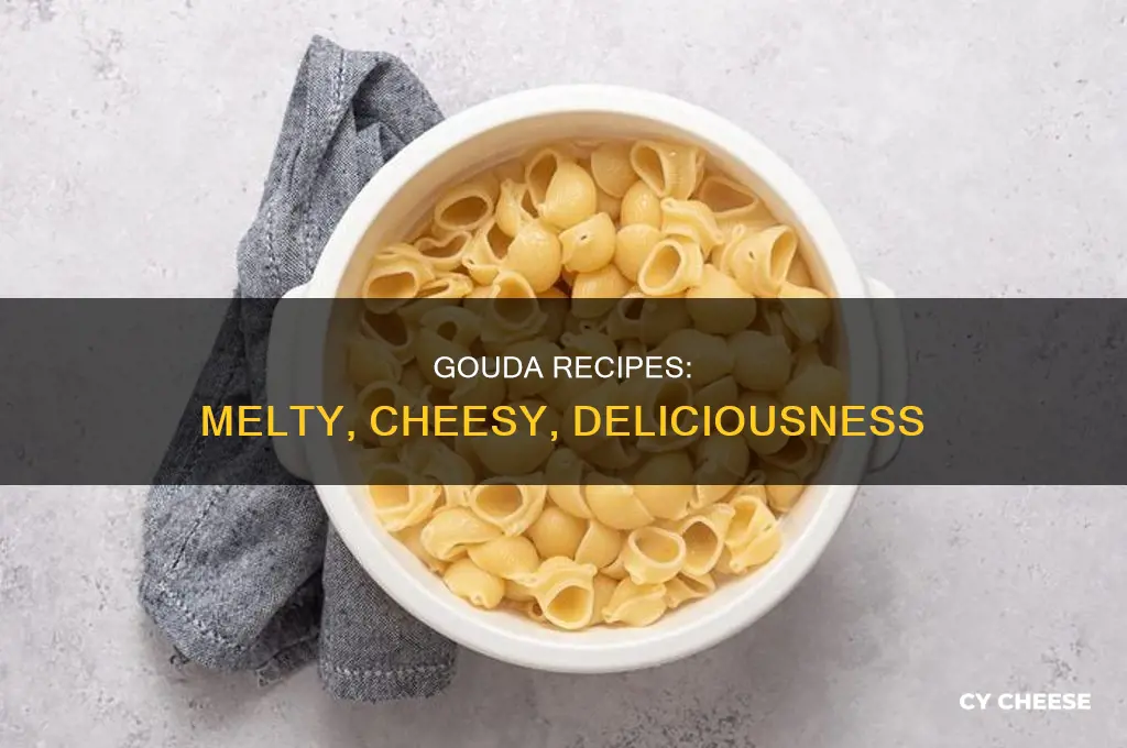 what recipes use gouda cheese