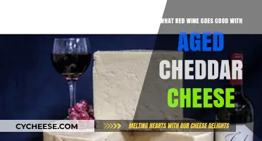 Perfect Pairing: Best Red Wines to Complement Aged Cheddar Cheese