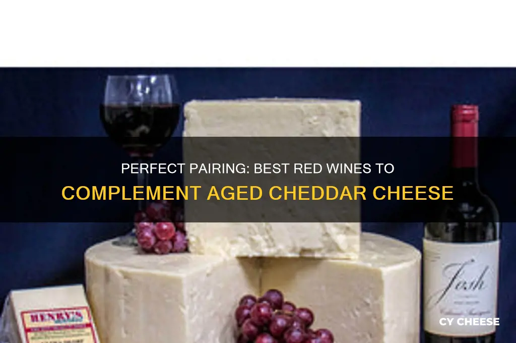 what red wine goes good with aged cheddar cheese