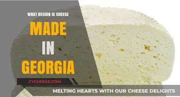 Georgia's Cheesy Delights: Exploring Regional Cheese Varieties