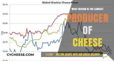 Exploring the Global Cheese Capital: Which Region Produces the Most?