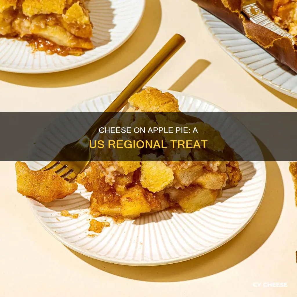 what region of the us puts cheese on apple pie