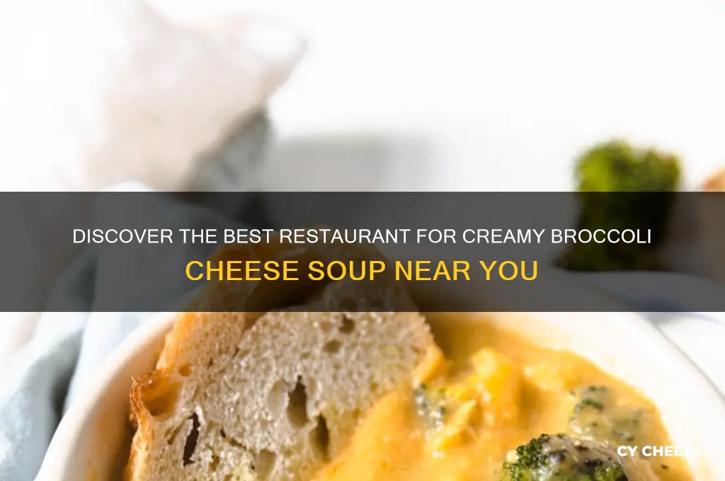 what restaurant has good broccoli cheese soup