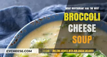 Best Broccoli Cheese Soup: A Restaurant Review