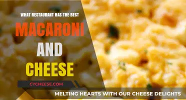 Mac & Cheese: Where to Find the Ultimate Comfort Food
