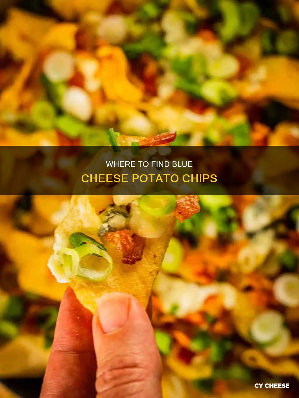 what restaurants serve blue cheese potato chips