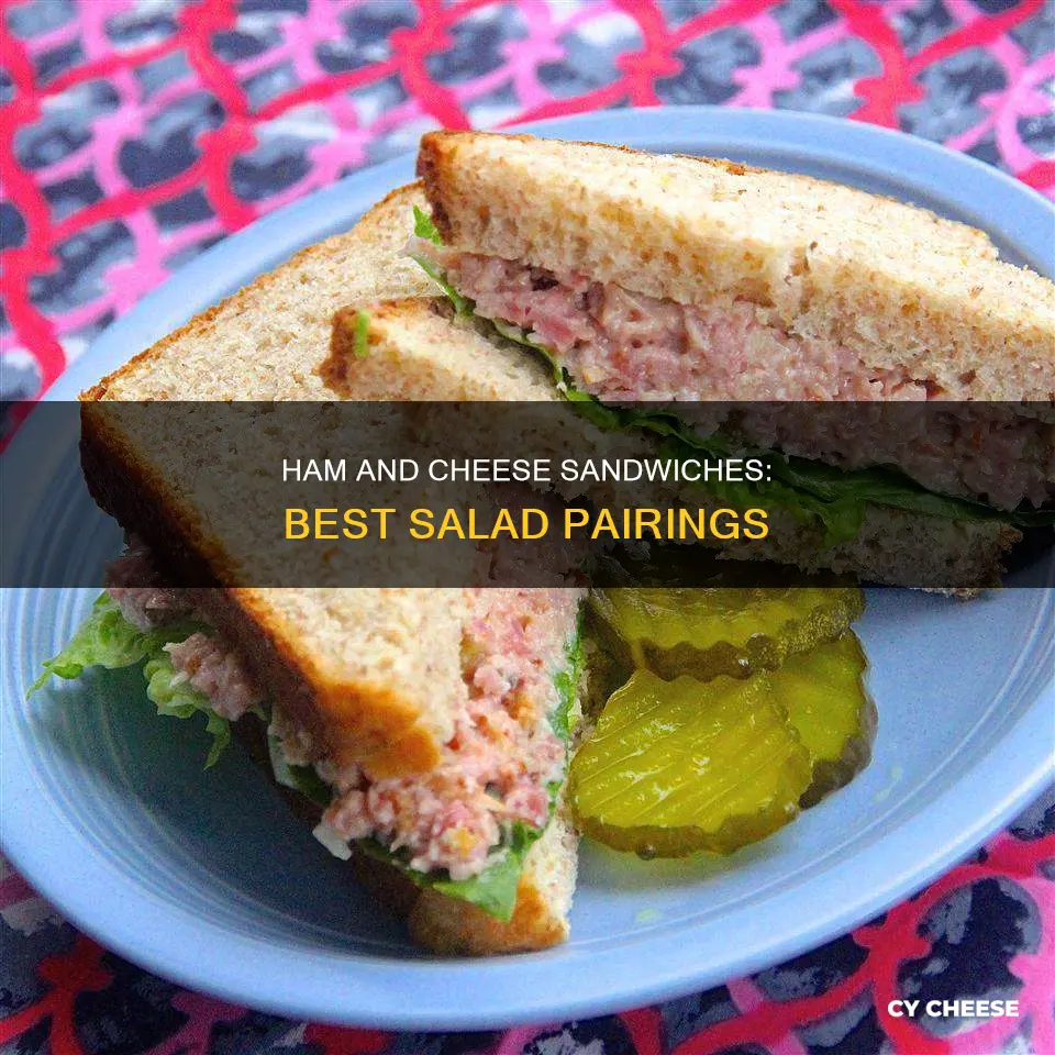 what salad goes with ham and cheese sandwiches