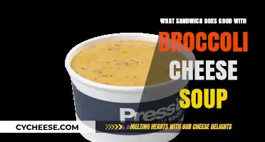 Perfect Pairings: Best Sandwiches to Complement Broccoli Cheese Soup