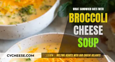 Best Sandwich Pairings for Broccoli Cheese Soup