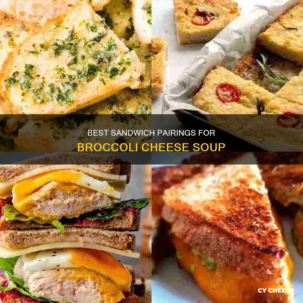 what sandwich goes with broccoli cheese soup