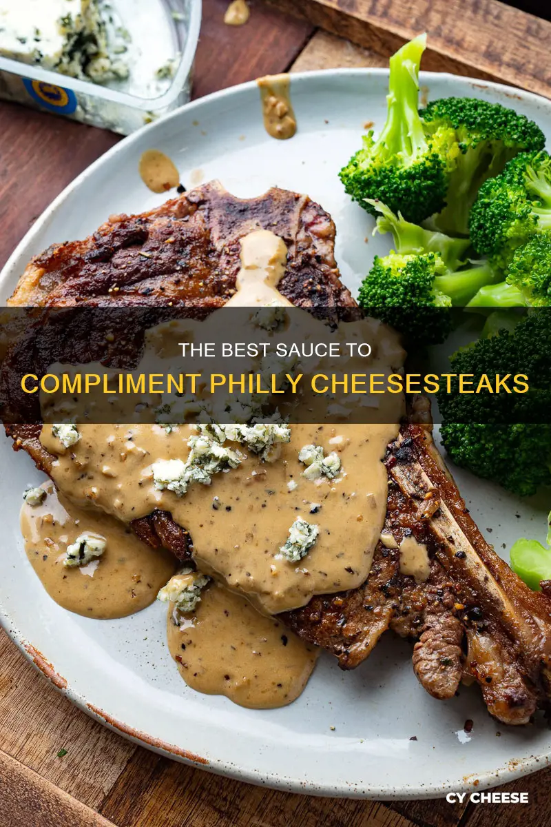 what sauce goes best on philly cheese