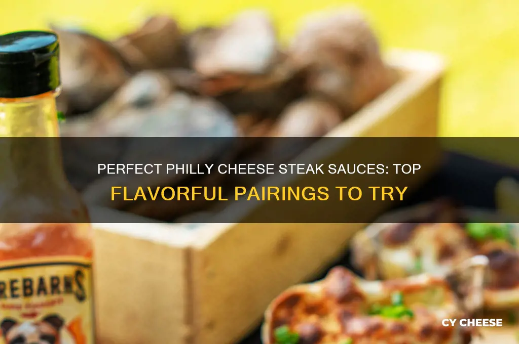what sauce goes good on a philly cheese steak