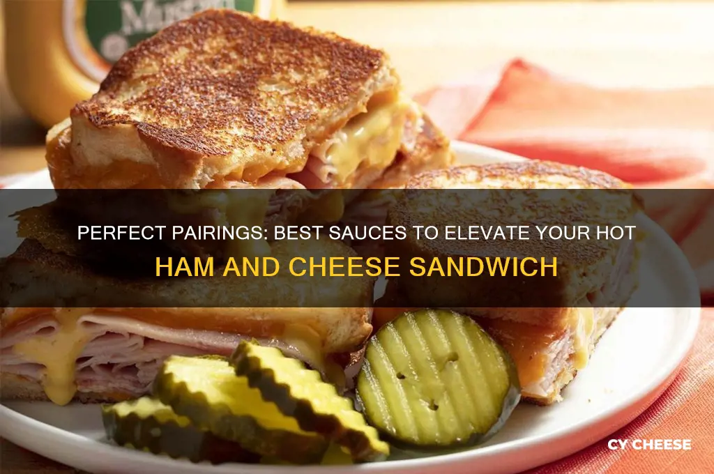 what sauce goes good on hot ham and cheese