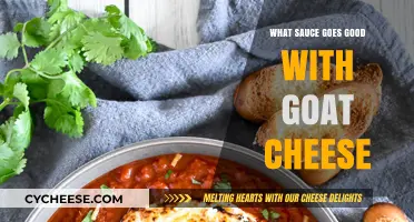 Perfect Pairings: Top Sauces to Elevate Your Goat Cheese Experience