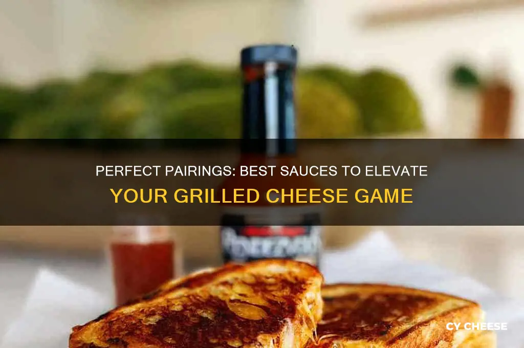 what sauce goes good with grilled cheese