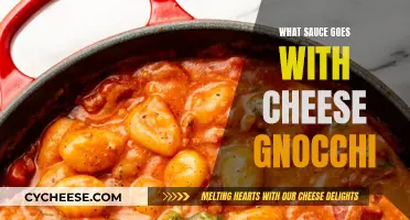 Cheese Gnocchi: Perfect Sauce Pairings for a Flavorful Dish