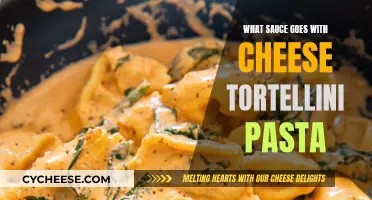 Cheese Tortellini Pasta: Best Sauce Pairings to Try