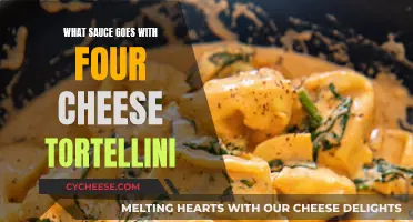 Cheese Tortellini: Best Sauce Pairings and Recipes