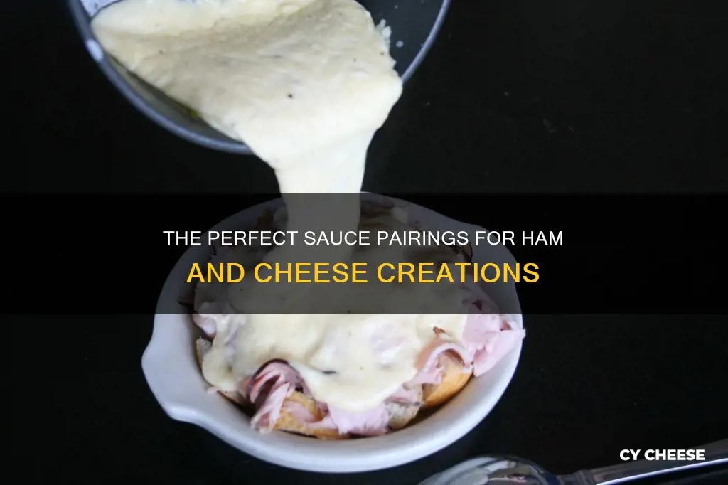 what sauce goes with ham and cheese