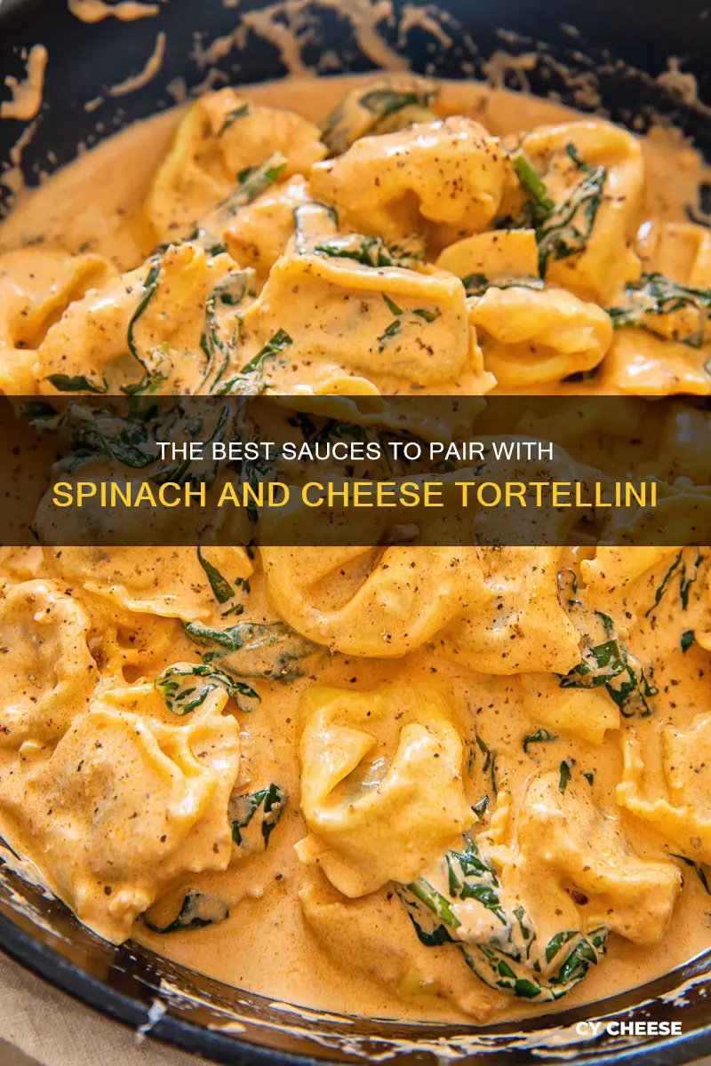 what sauce goes with spinach and cheese tortellini